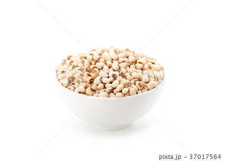 white kidney bean 37017564