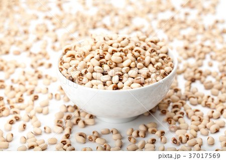 white kidney bean white kidney bean 37017569
