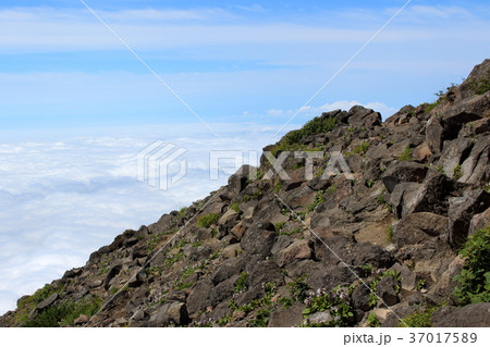 羊蹄山山頂付近の岩道 37017589