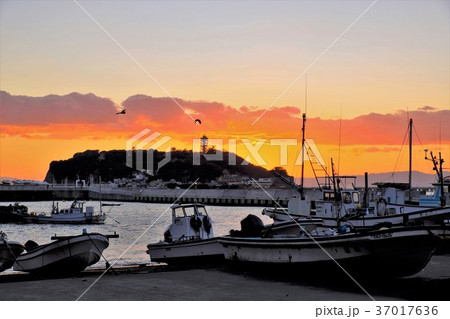 江の島夕景 江の島夕景 37017636
