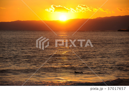 湘南風景 江ノ島 湘南海岸 湘南風景 江ノ島 湘南海岸 37017657