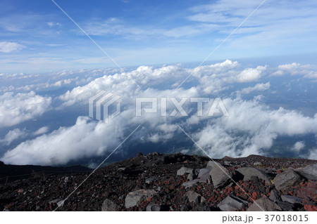 冨士山 富士 ふじ 37018015