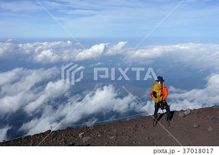 冨士山 富士 ふじ 37018017