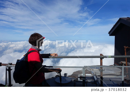 冨士山 富士 ふじ 37018032