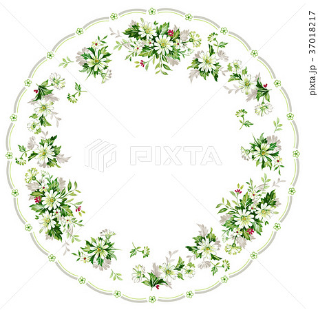 マーガレット 37018217