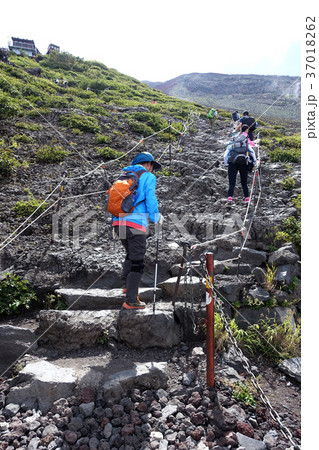 冨士山 富士 ふじ 37018262