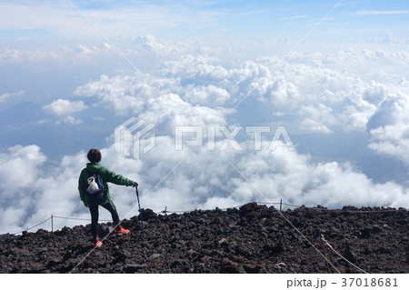 冨士山 富士 ふじ 37018681
