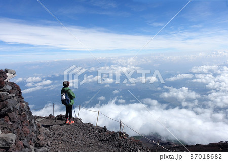 冨士山 富士 ふじ 37018682