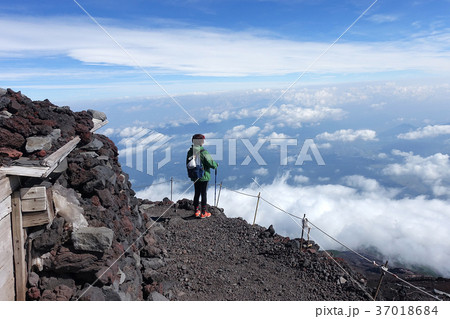 冨士山 富士 ふじ 37018684
