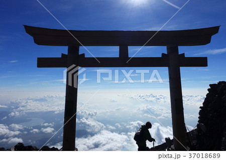冨士山 富士 ふじ 37018689