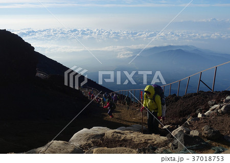 冨士山 富士 ふじ 37018753