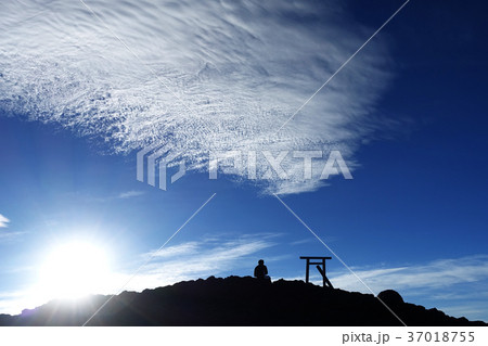 冨士山 富士 ふじ 37018755