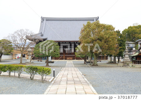 京都　妙覚寺 37018777