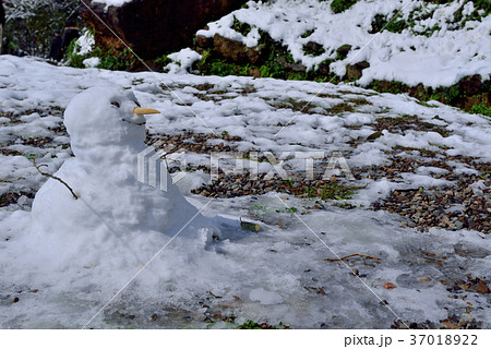 雪景 銀世界 雪景色 37018922