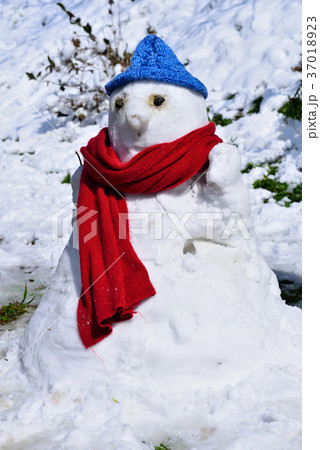 雪景 銀世界 雪景色 37018923