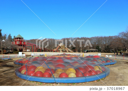 ふなばしアンデルセン公園のワンパクボール島、ワンパク城、じゅえむタワー（12月）千葉県船橋市 37018967