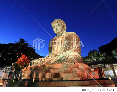 鎌倉の大仏のライトアップ 37019373