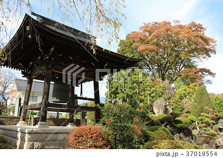 紅葉の東光寺鐘楼 安曇野 穂高 吉祥山 長野県 紅葉の東光寺鐘楼 安曇野 穂高 吉祥山 長野県 37019554