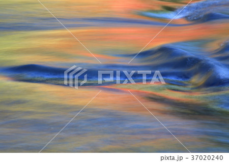 秋の遊水峡 37020240