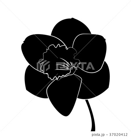Cute silhouette flower Cute silhouette flower 37020412
