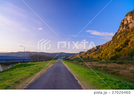 城山（静岡県伊豆の国市） 37020460