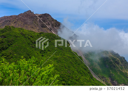 新緑の雲仙 妙見岳からの眺め 普賢岳と平成新山 新緑の雲仙 妙見岳からの眺め 普賢岳と平成新山 37021452