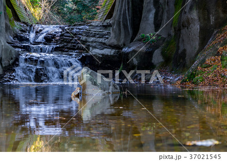 【千葉県】濃溝の滝 37021545