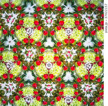 デザイン素材　ヒペリカムの実 37022157