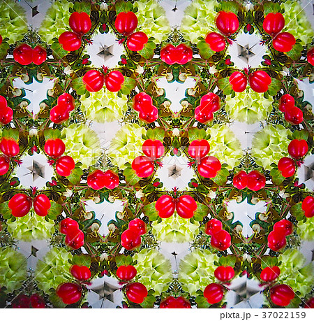 デザイン素材　ヒペリカムの実 37022159