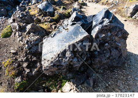 boulder at Laugahraun lava field in Iceland 37023147