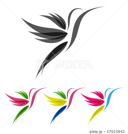 Colored stylized colibri 37023642