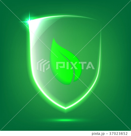 Green glass shield 37023652