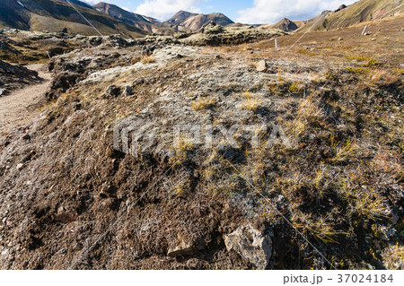 end of Laugahraun volcanic lava field in Iceland 37024184