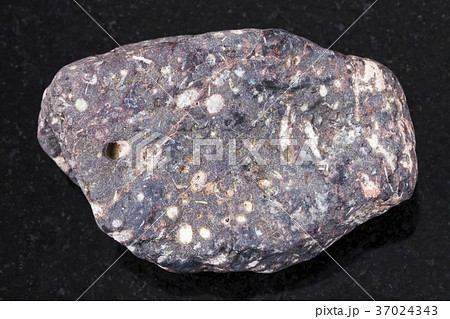 pebble of porous basalt stone on dark background 37024343