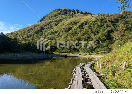 日光白根山と弥陀ヶ池 日光白根山と弥陀ヶ池 37024570