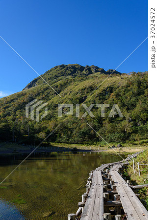 日光白根山と弥陀ヶ池 日光白根山と弥陀ヶ池 37024572