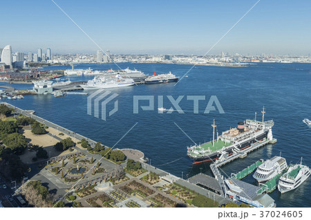 横浜港の眺望 37024605