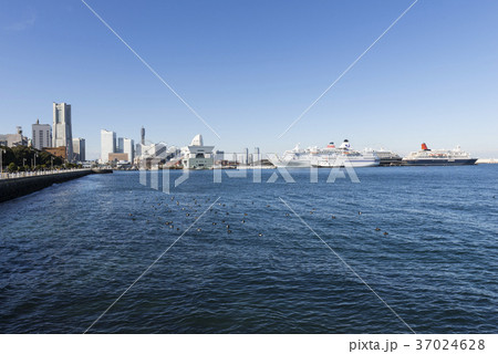 横浜港みなとみらいと大さん橋 37024628