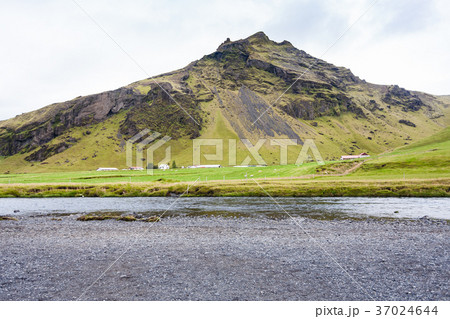 Skogar River near Skogafoss waterfall in Iceland 37024644