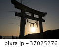 鳥居　朝日 37025276