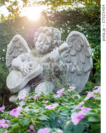 Playing guitar little angel statue in garden Playing guitar little angel statue in garden 37025404