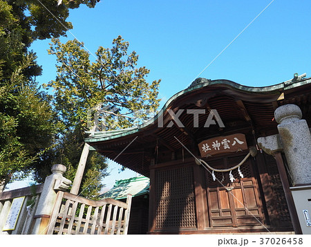 八雲神社 八雲神社 37026458