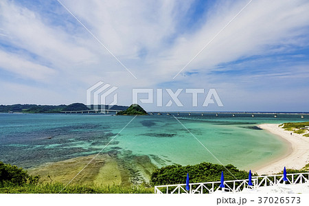 角島大橋 角島 角島大橋 角島 37026573