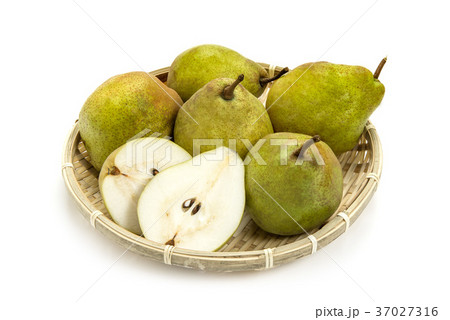 洋梨シルバーベル 37027316