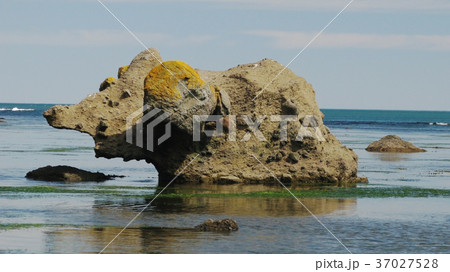 Stone mammoth, Tikhaya bay, Sakhalin 37027528