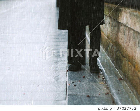 雨 雨 37027732