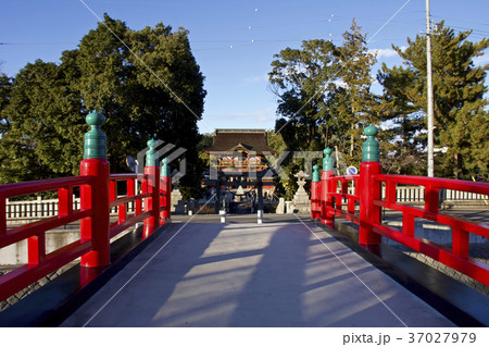岡崎市 伊賀八幡宮 岡崎市 伊賀八幡宮 37027979