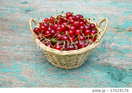 wicker basket full of summer cherry fruits 37028176
