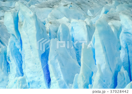 Perito Moreno Glacier close up Perito Moreno Glacier close up 37028442