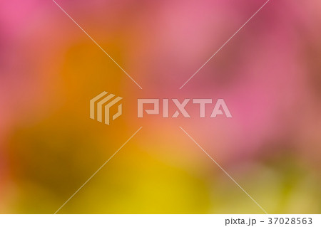 Defocused abstract colorful background Defocused abstract colorful background 37028563